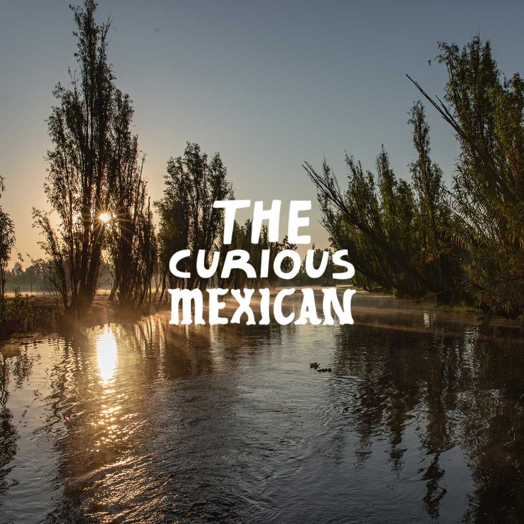 Amanecer con The Curious Mexican