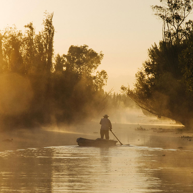 Sunrise in the chinampas